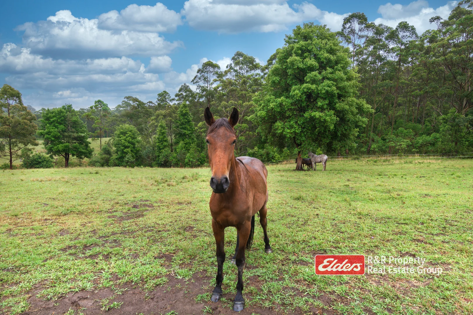 Additional image 16 of 1822 Wootton Way, Wootton NSW 2423