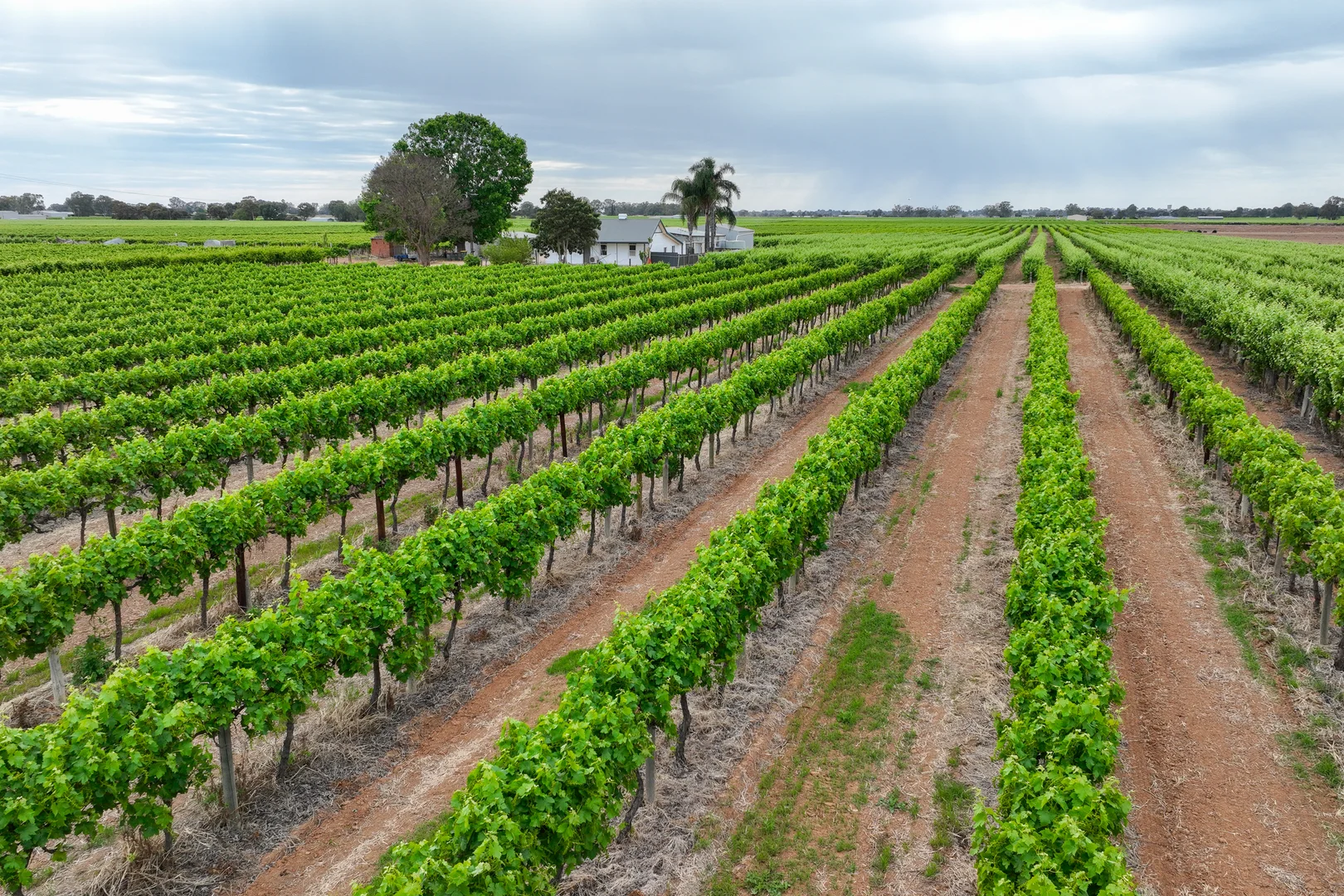 Additional image 41 of 50 Arnold Coats Road, Cobdogla SA 5346