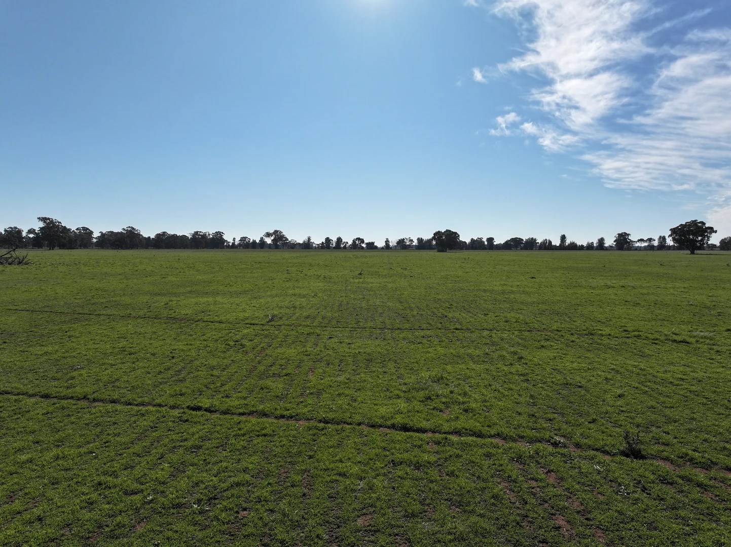 Additional image 20 of Berrigan Oaklands Road, Berrigan NSW 2712