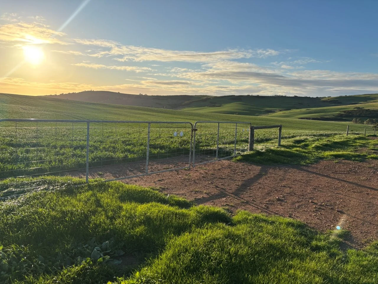 Additional image 5 of Lot 5 McAvaney Lane, Whites Flat SA 5607