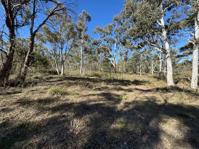 Additional image 9 of 671 Towrang Road, Towrang NSW 2580