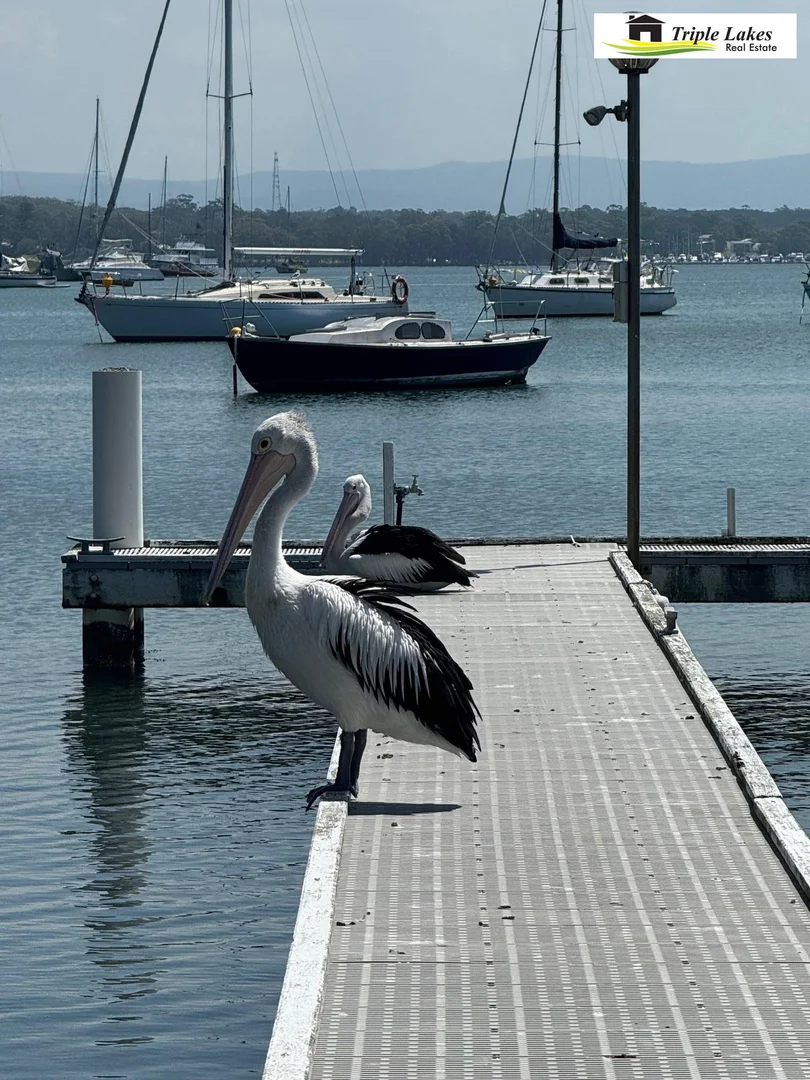 Additional image 6 of 12 Gordon Avenue, Summerland Point NSW 2259