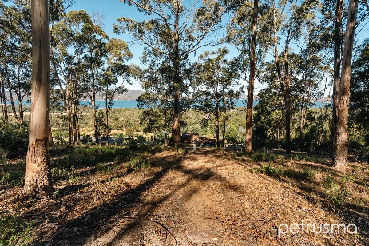 Additional image 31 of 31 Culbara Road, Electrona TAS 7054