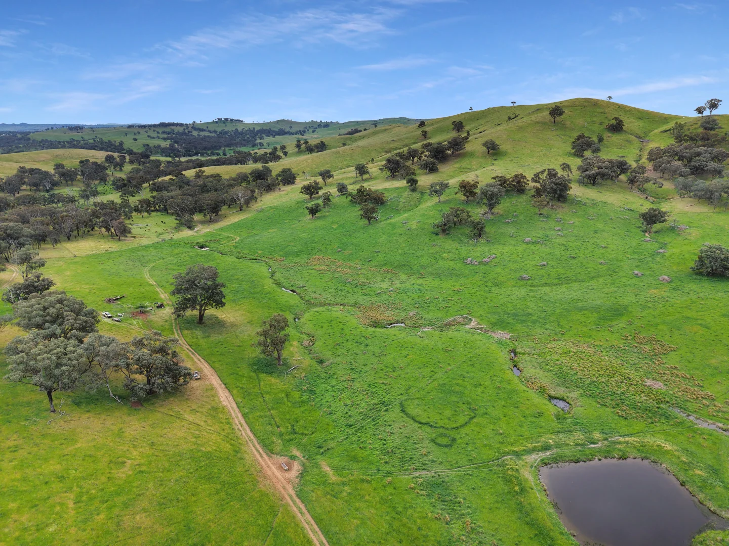 Additional image 30 of 'horse Gully' Old Waugoola Road, Woodstock NSW 2793
