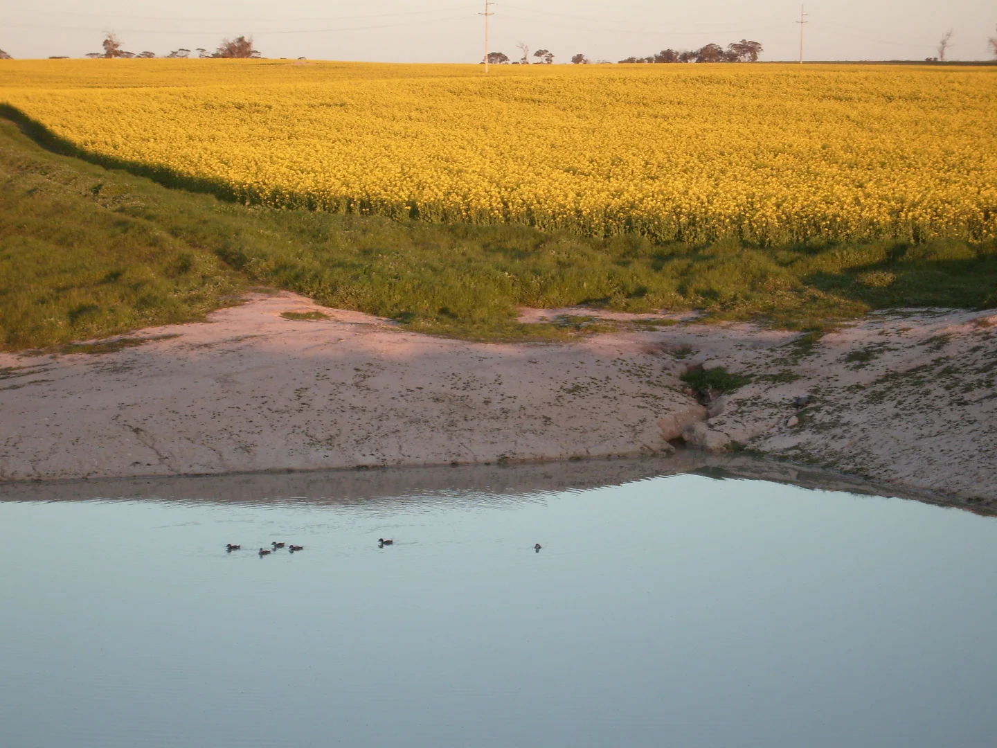 Additional image 2 of 81 Mosgiel Road, Tenterden WA 6322