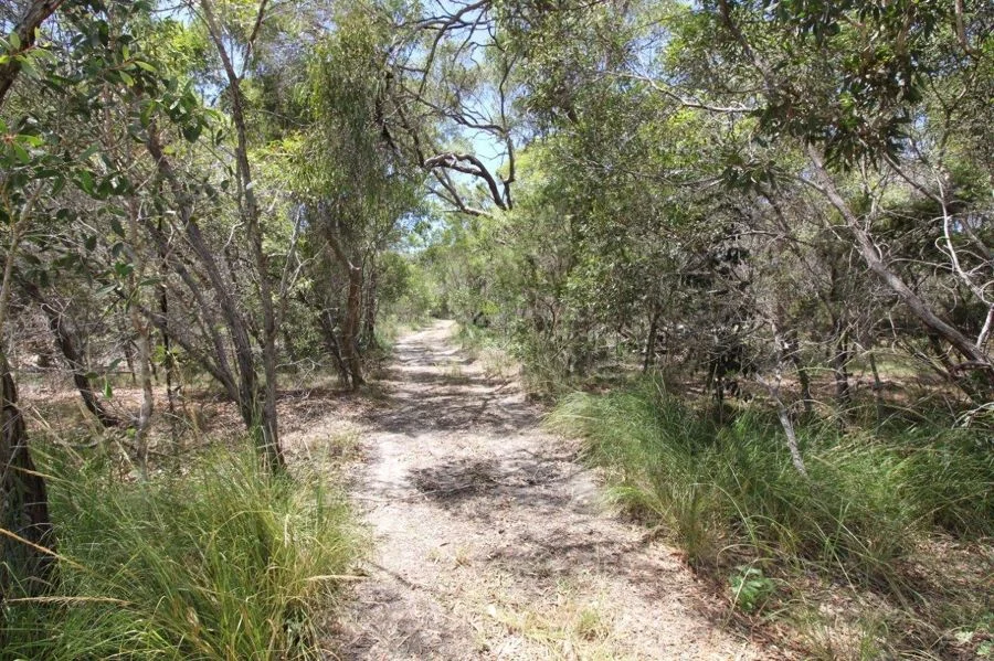 Additional image 25 of 9 Coe Road, Deepwater QLD 4674