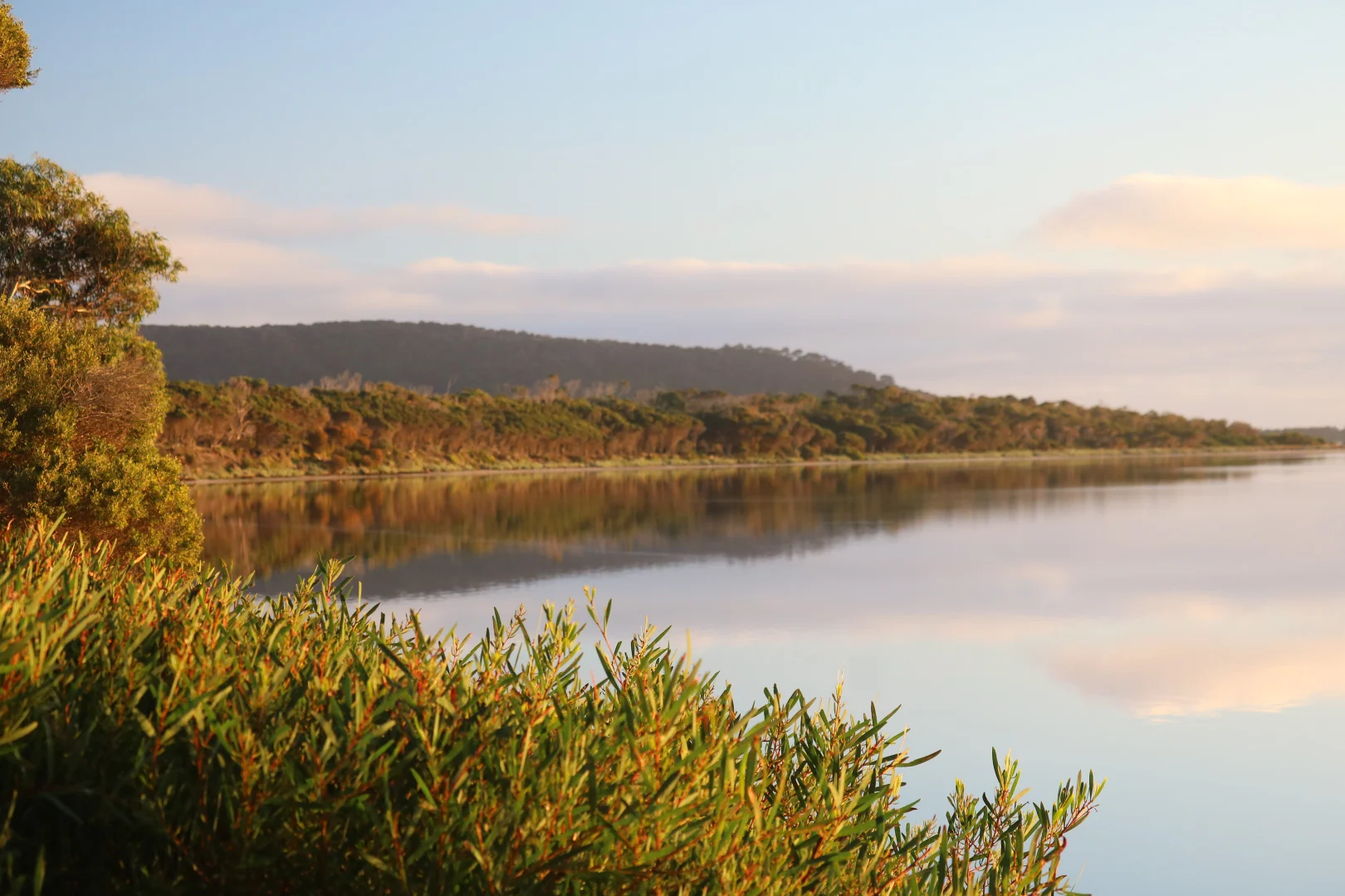 Additional image 2 of Lot 1 North East River Road, Palana TAS 7255