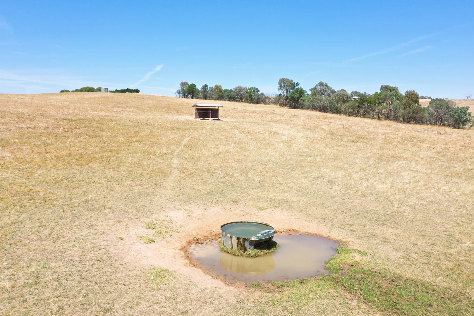 Additional image 6 of 195 Wambanumba Drive, Young NSW 2594