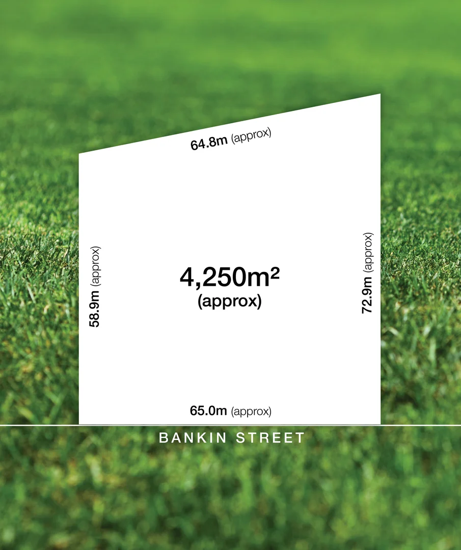 Additional image 3 of 113 Bankin Street, Learmonth VIC 3352