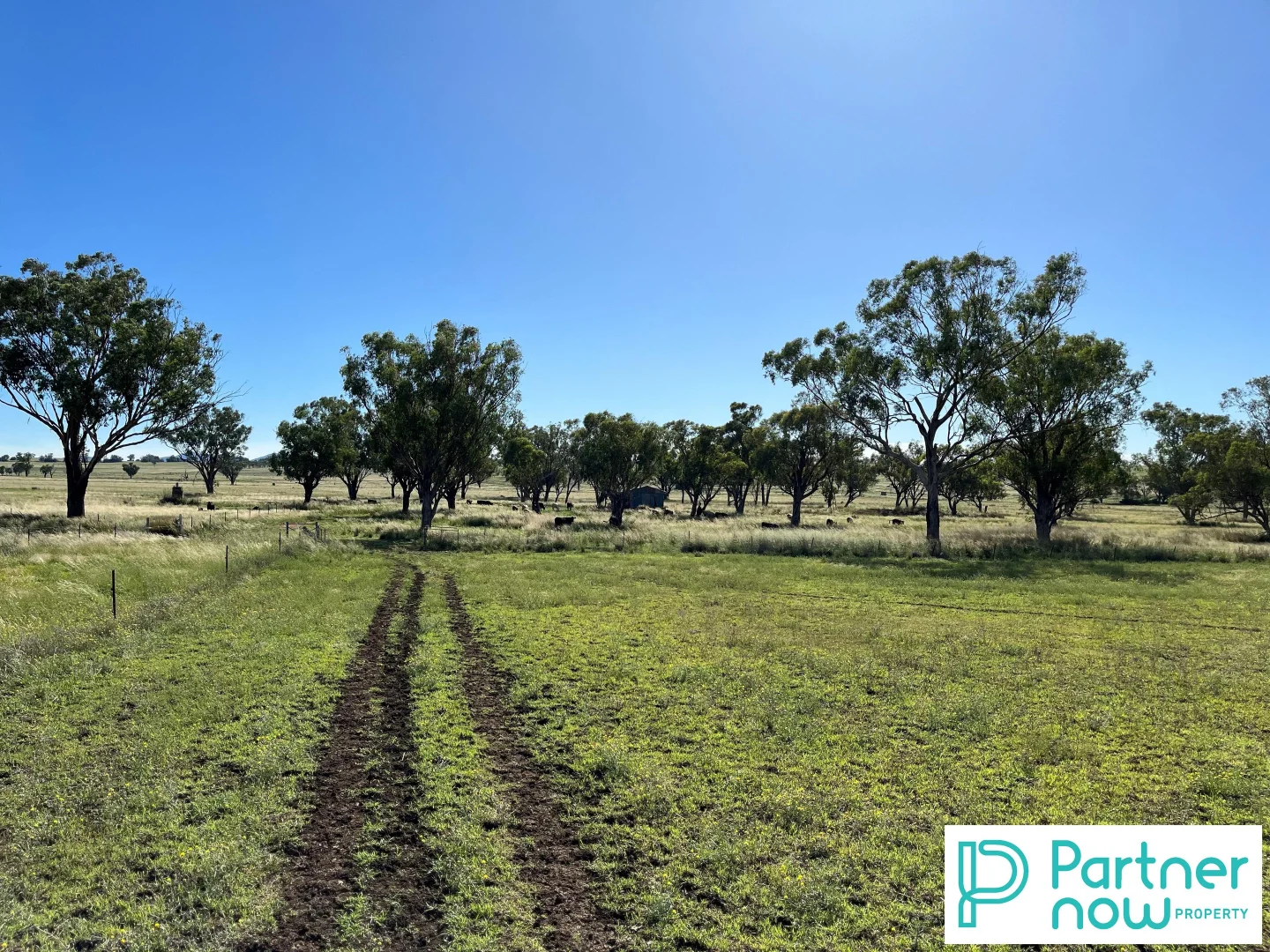 Additional image 3 of 205 Gidley-Appleby Road, Tamworth NSW 2340