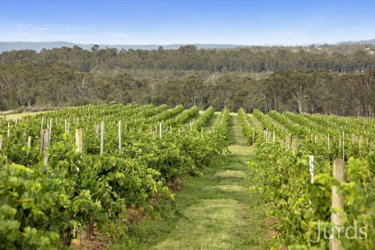 Additional image 20 of 861 & 913 Hermitage Road, Pokolbin NSW 2320