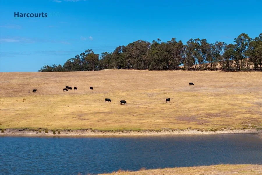 Additional image 7 of Lot 72 Beelerup Road, Beelerup WA 6239