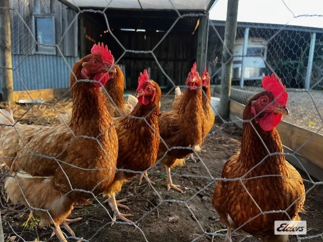 Additional image 18 of 21 Grays Road, Briagolong VIC 3860