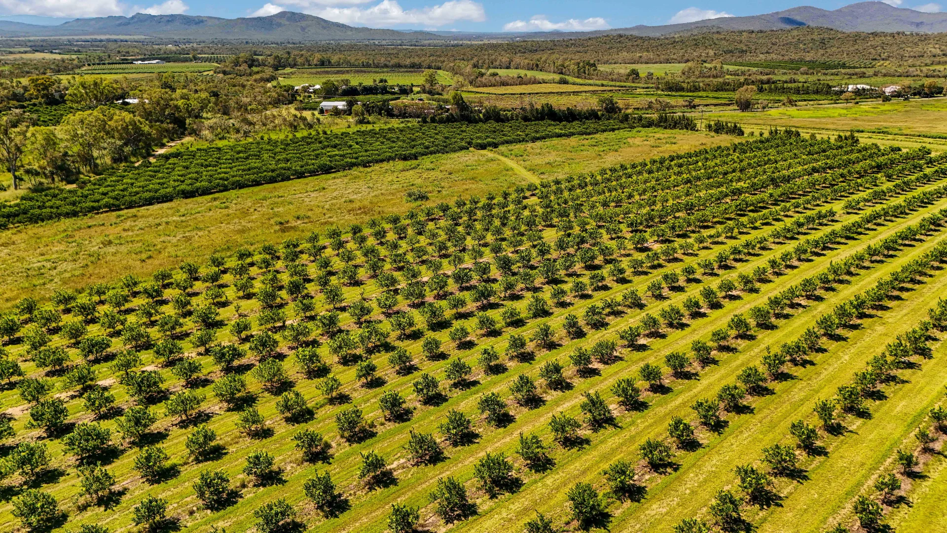 Additional image 12 of 119 McLeod Road, Mutchilba QLD 4872
