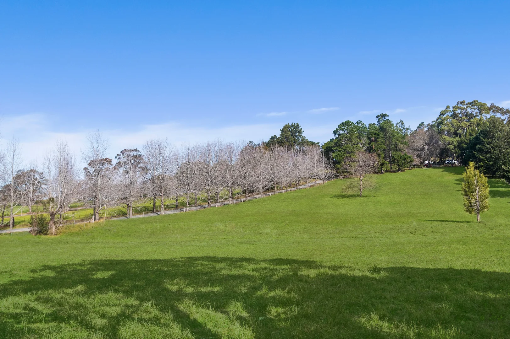 Additional image 36 of 195 Devitts Lane, Meroo Meadow NSW 2540