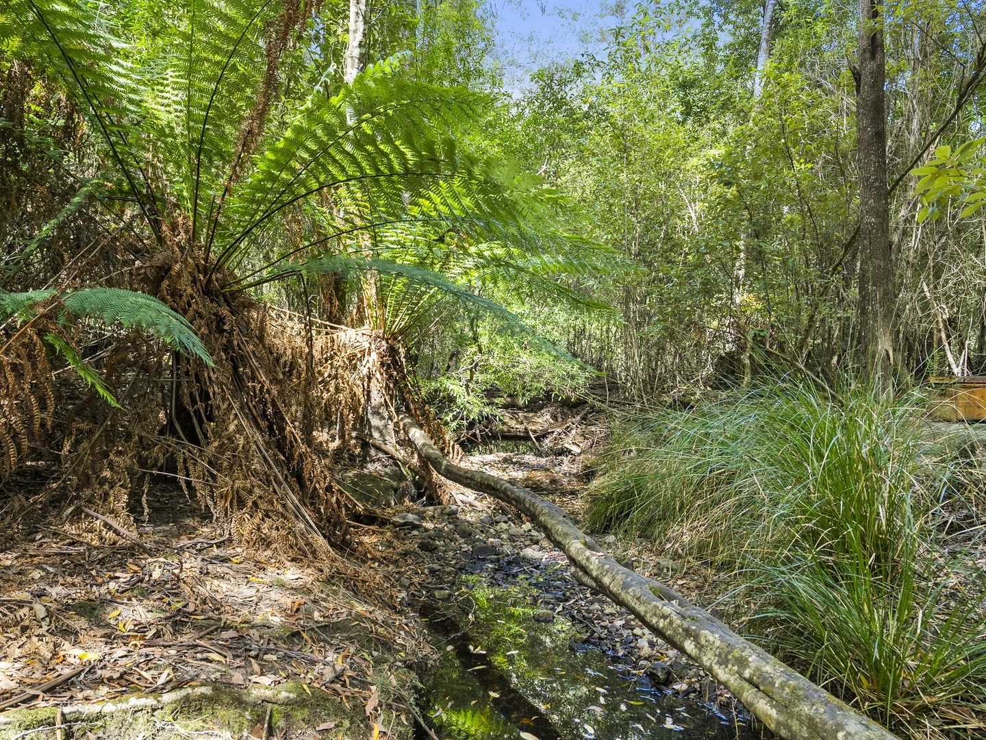 Additional image 39 of 321 Pirates Bay Drive, Eaglehawk Neck TAS 7179