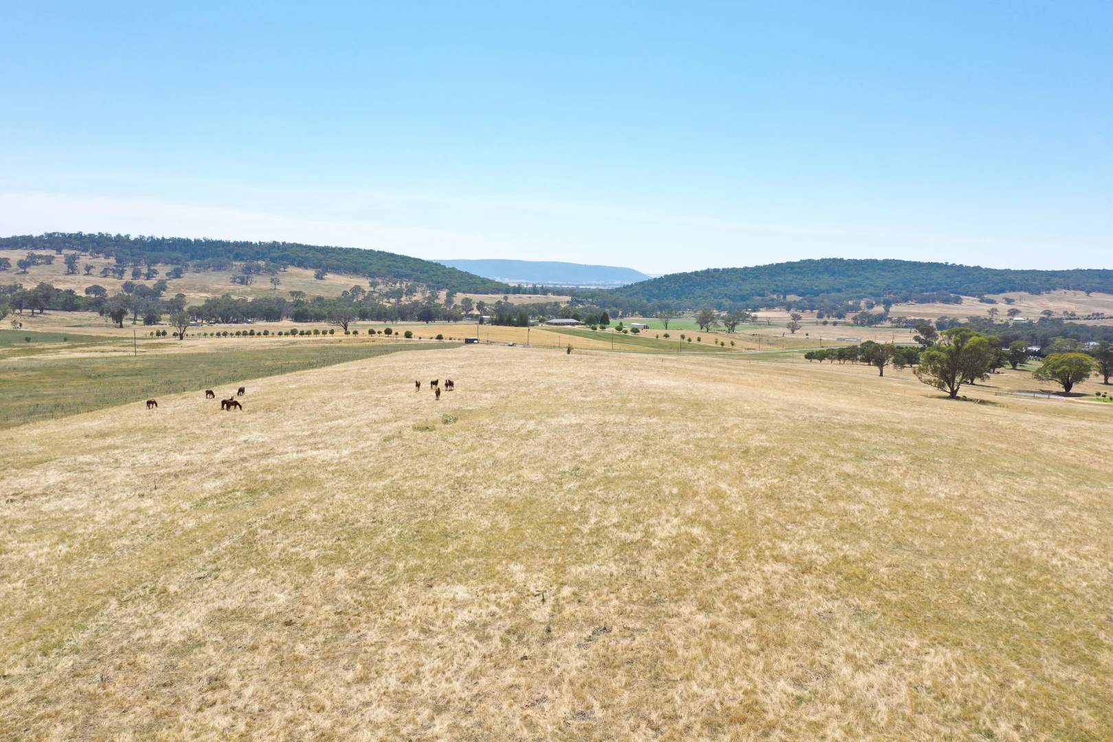 Additional image 10 of 195 Wambanumba Drive, Young NSW 2594