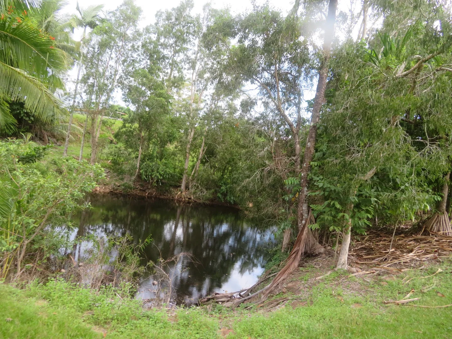 Additional image 28 of 364 Coquette Point Road, Coquette Point QLD 4860