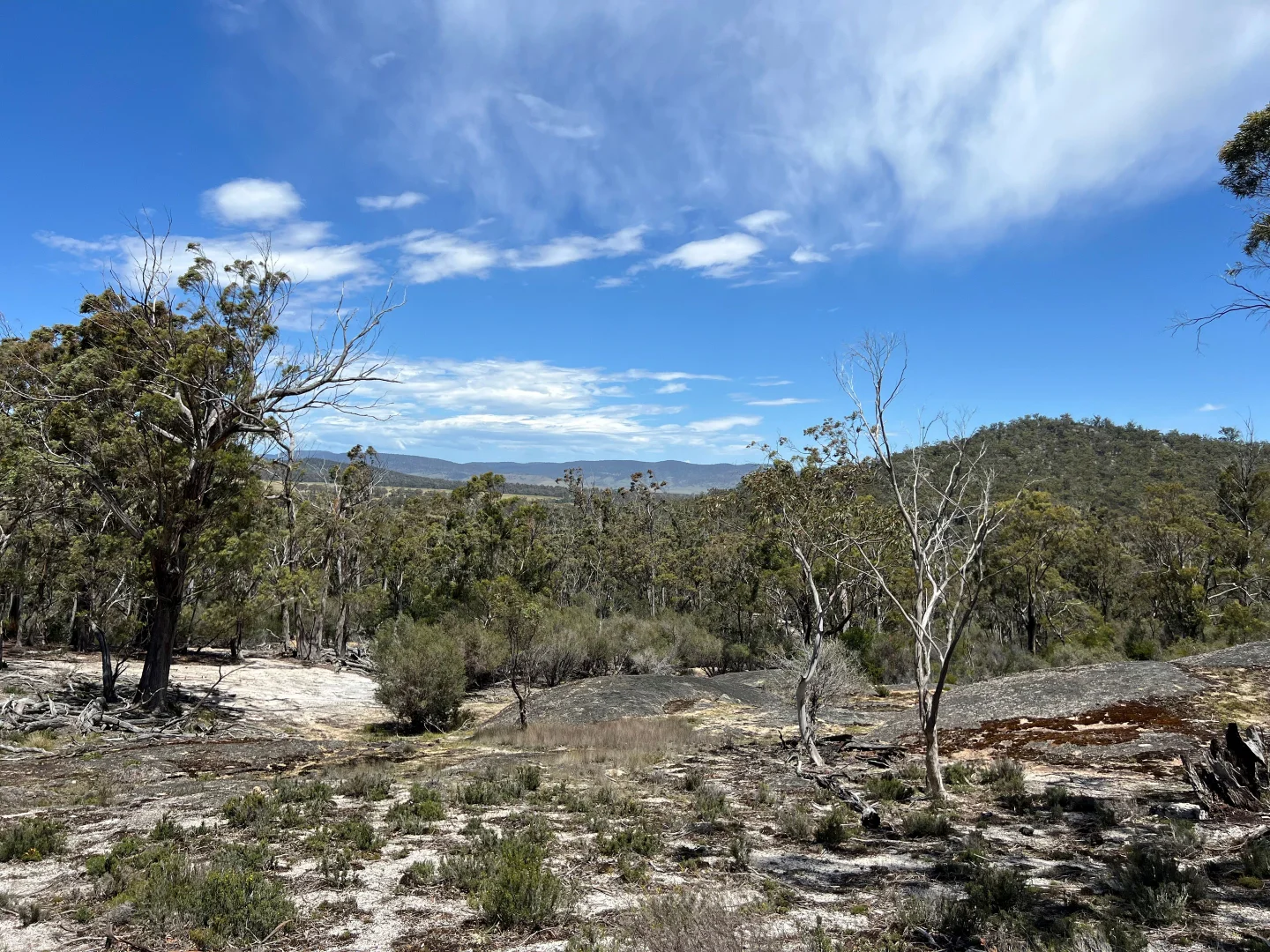 Additional image 14 of 3 Leona Road, Avoca TAS 7213