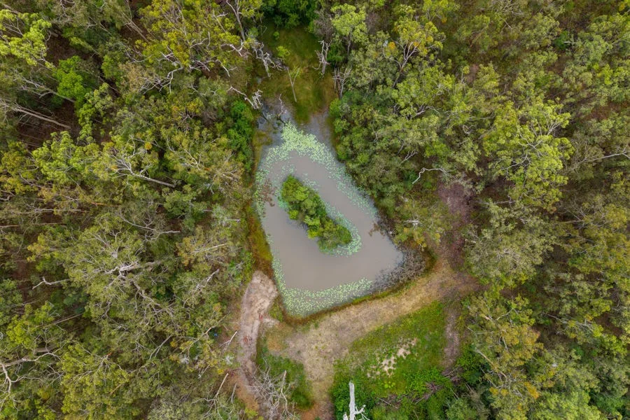 Additional image 5 of 272 Bostock Road, Pillar Valley NSW 2462