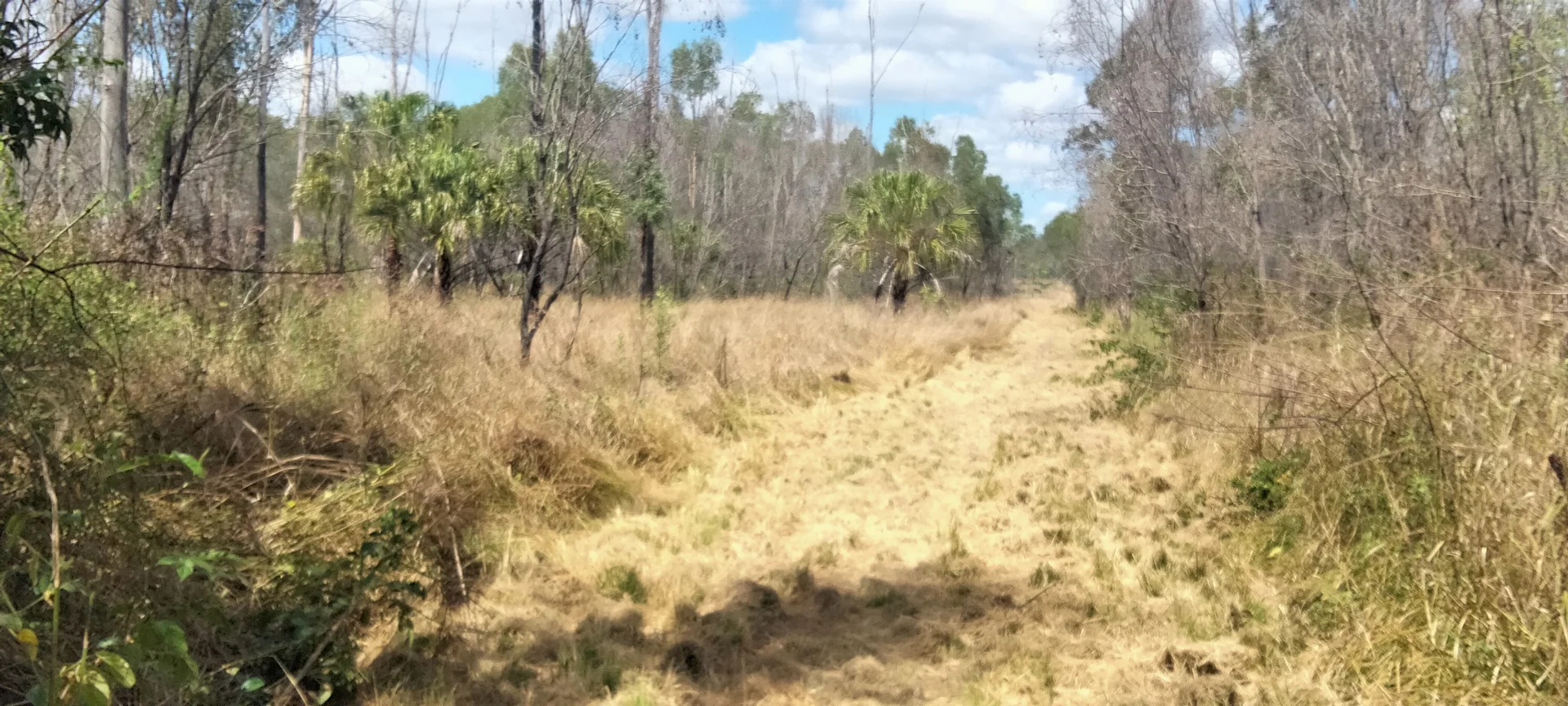 Additional image 43 of 3359 Lowmead Road, Lowmead QLD 4676