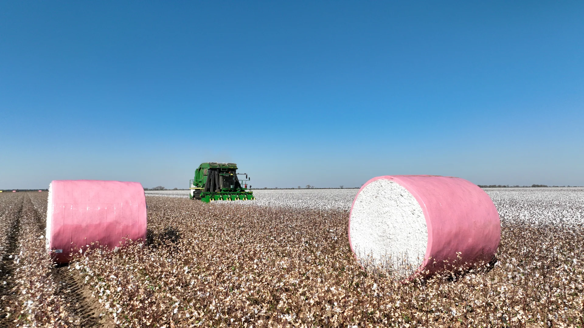 Additional image 17 of "Waringah" Mabins Well Road, Conargo NSW 2710