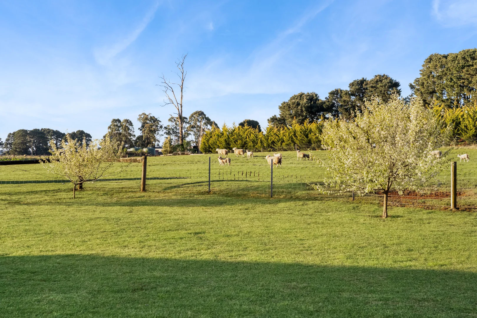 Additional image 20 of 115 Kyneton-Trentham Road, Trentham VIC 3458