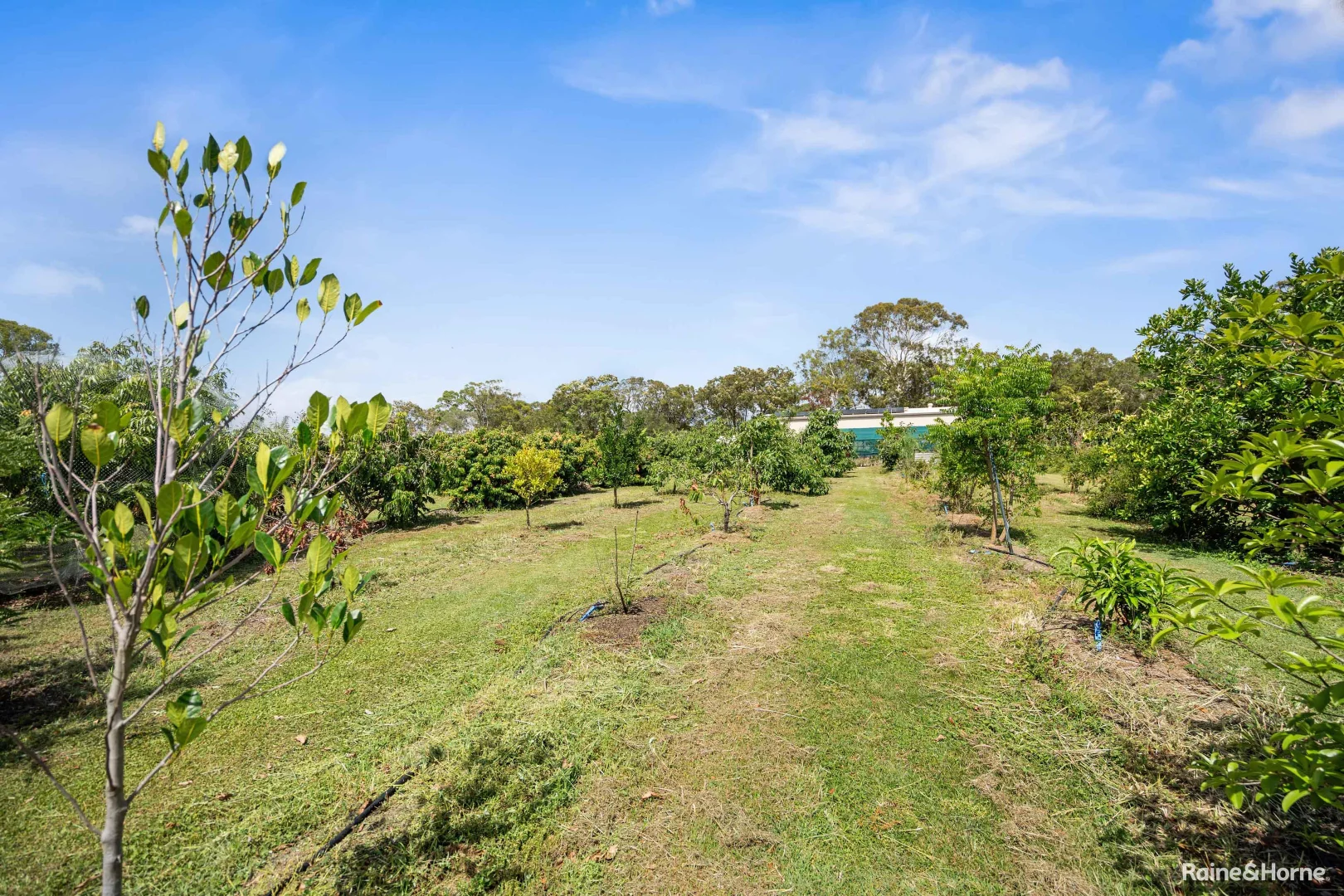 Additional image 13 of 847 Booral Road, Bunya Creek QLD 4655