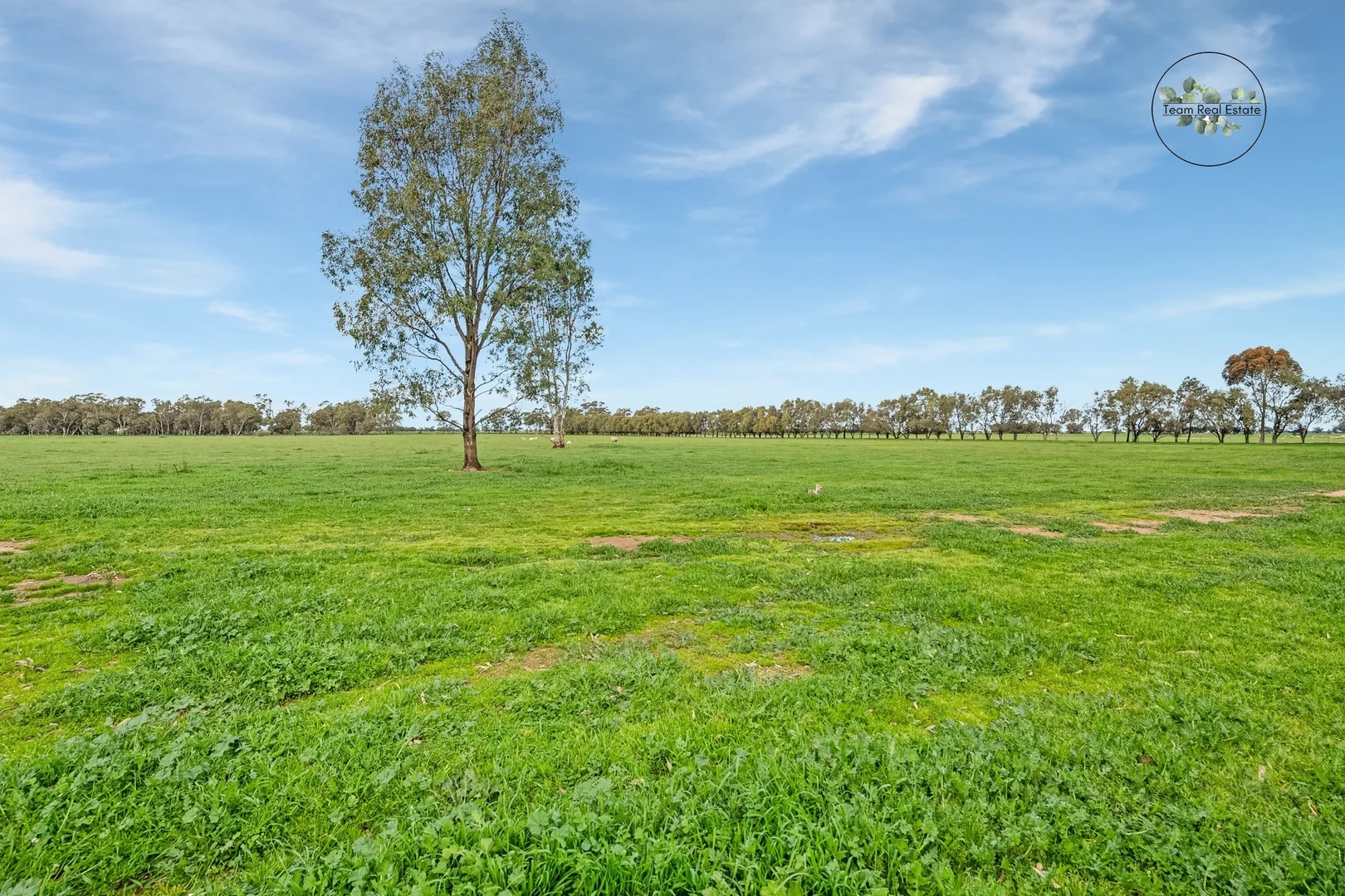 Additional image 8 of 161 Old Bridgewater-Serpentine Road, Bridgewater VIC 3516