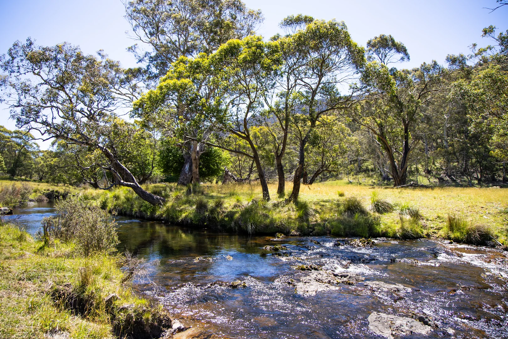 Additional image 4 of 632 Big Yard Road, Moonbah NSW 2627