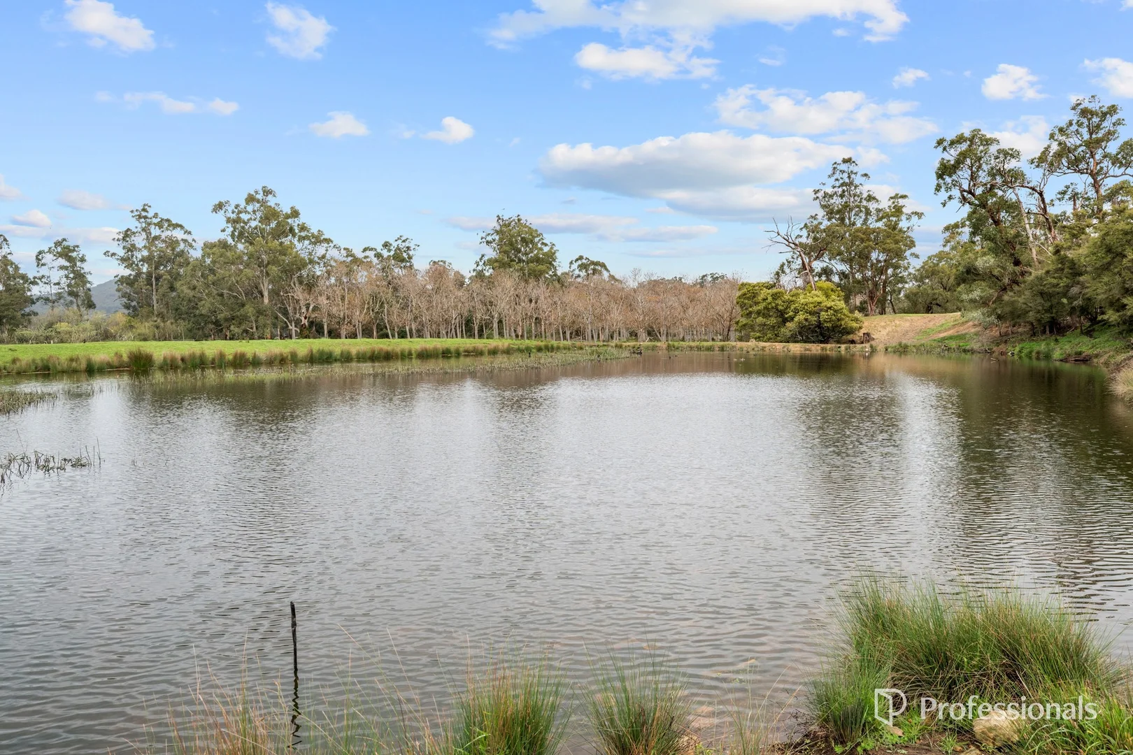 Additional image 21 of 230 Station Road, Wesburn VIC 3799