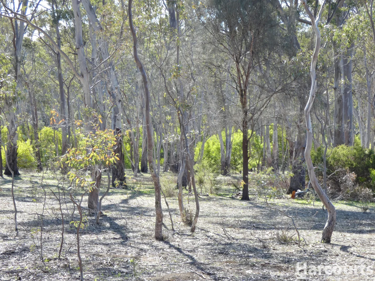 Additional image 32 of . Rocklands Road, Rocklands VIC 3401