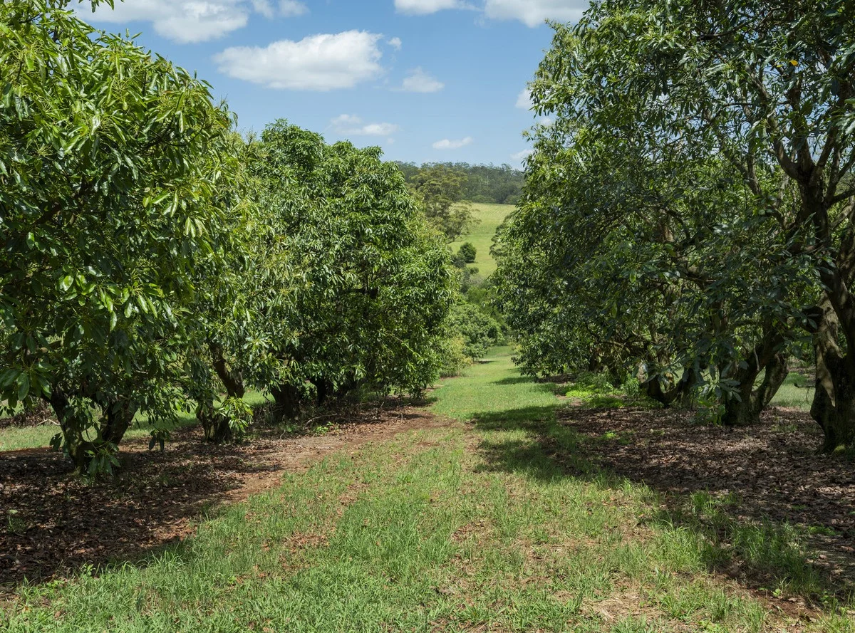 Additional image 19 of 3384 Esk-Hampton Road, Ravensbourne QLD 4352