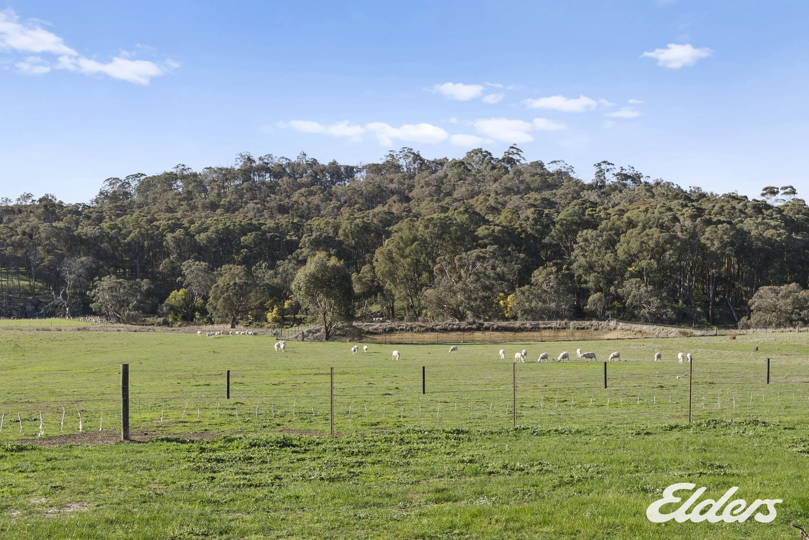 Additional image 7 of 356 Polly McQuinns Road, Strathbogie VIC 3666
