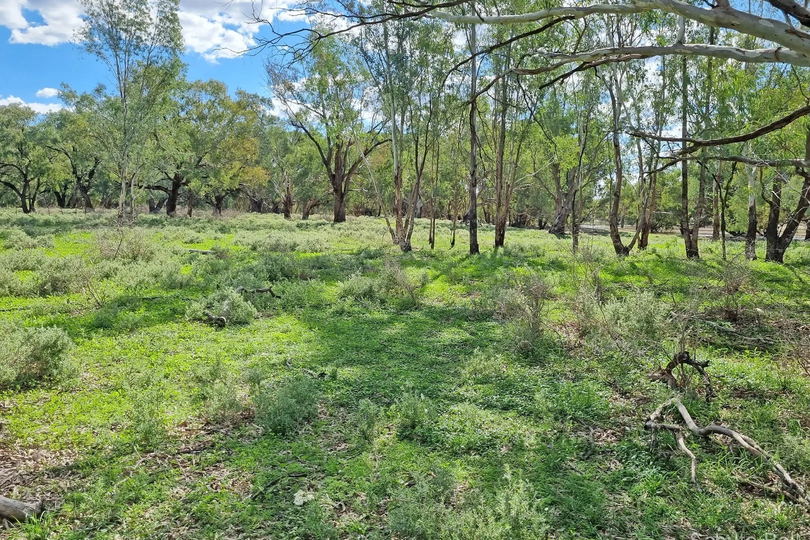 Additional image 6 of 151 Burban Street, Brewarrina NSW 2839