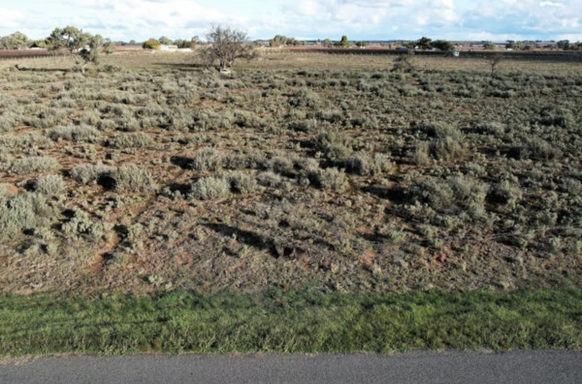 Additional image 4 of 39 Canal Road, Renmark SA 5341