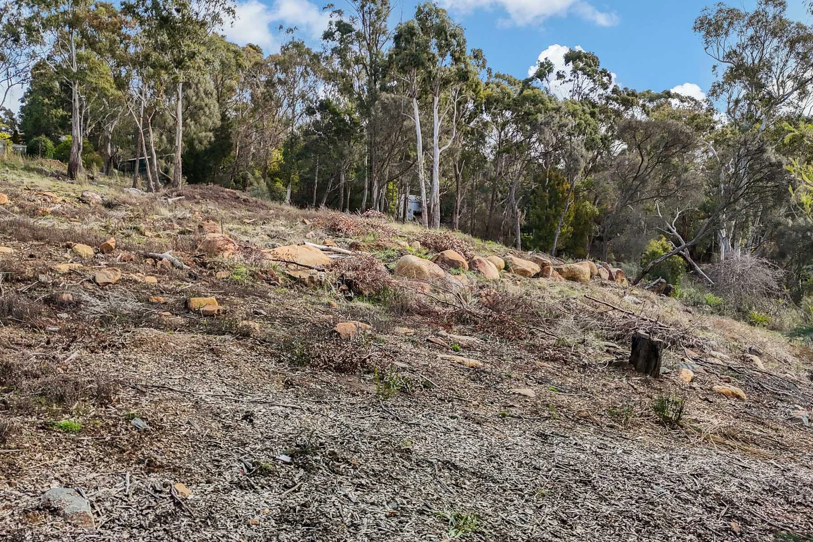 Additional image 12 of 64 Peel Street West, West Launceston TAS 7250