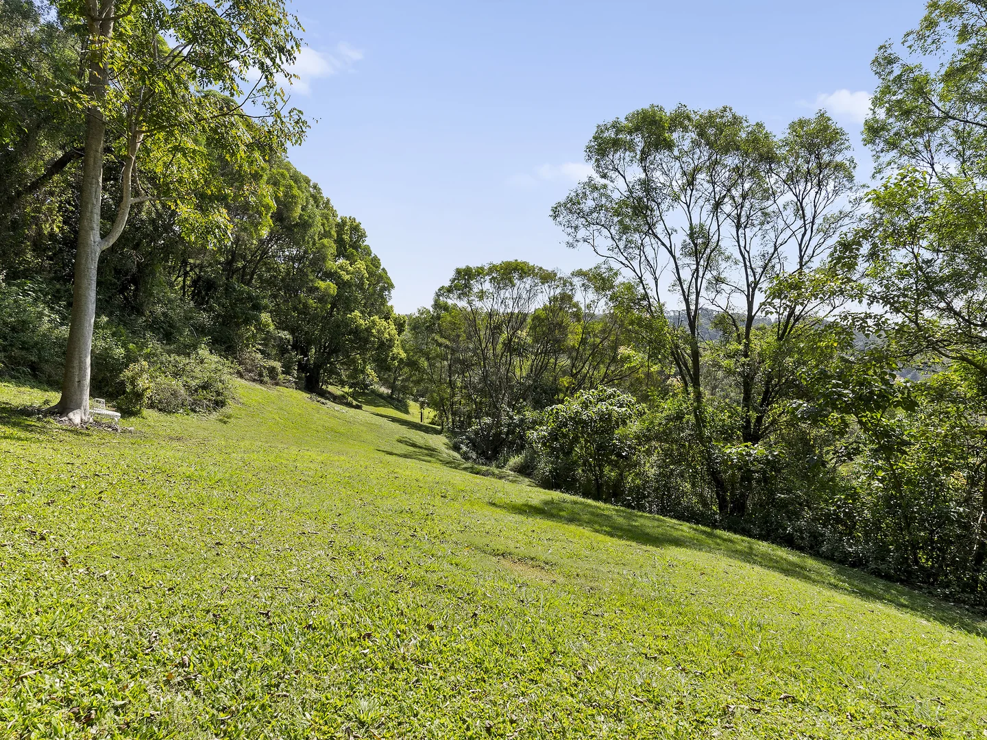 Additional image 32 of 37 Condor Place, Clothiers Creek NSW 2484