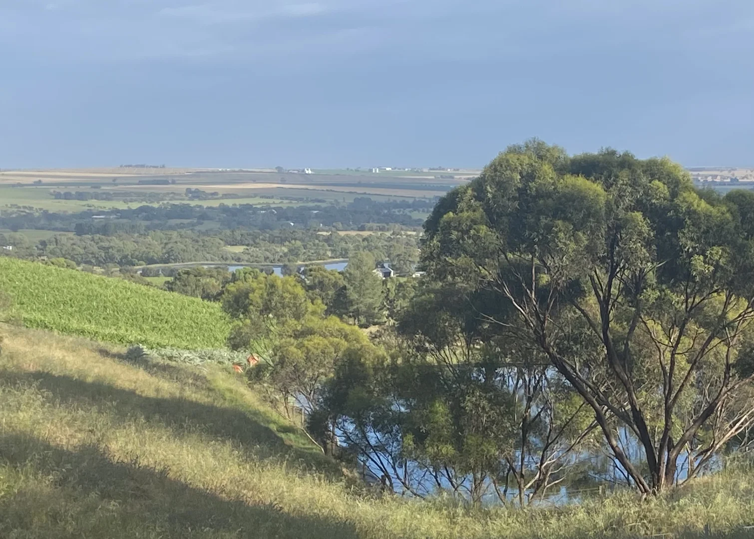 Additional image 17 of 296 Rosedale Scenic Road, Lyndoch SA 5351