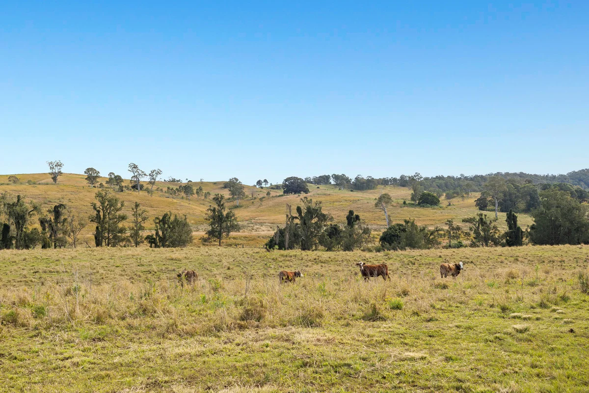 Additional image 36 of 39-57 Aspreys Road, Ettrick NSW 2474