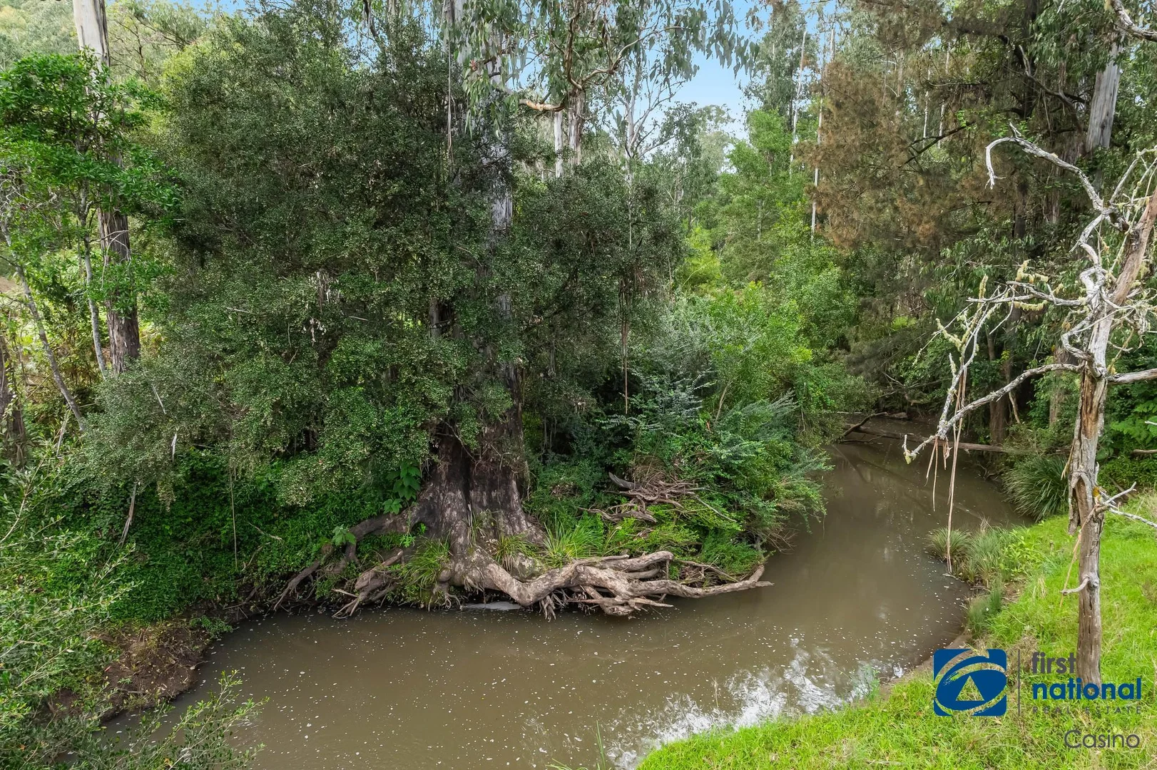 Additional image 10 of 1212 Beaury Creek Road, Urbenville NSW 2475