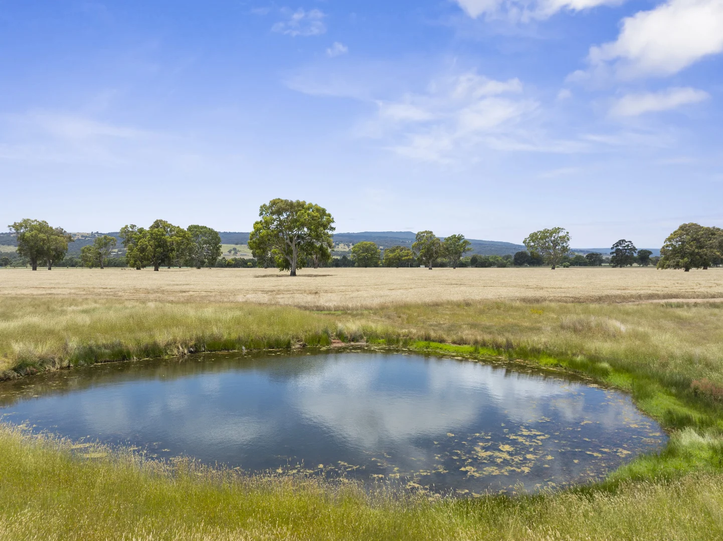 Additional image 2 of 1522 Long Lane, Barwite VIC 3722