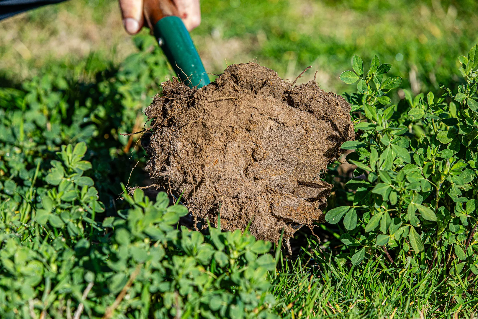 Additional image 7 of 1911 Cadgee Road, Naracoorte SA 5271