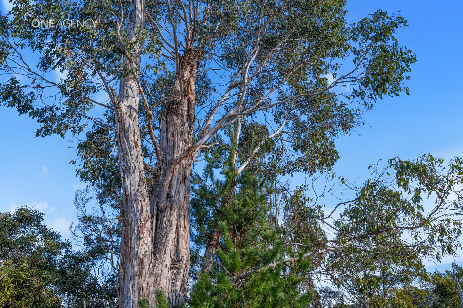 Additional image 5 of 13/10 Torquay Road, Latrobe TAS 7307