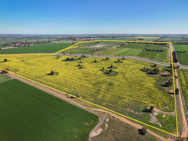 Additional image 47 of 2244 Berrigan Road, Berrigan NSW 2712