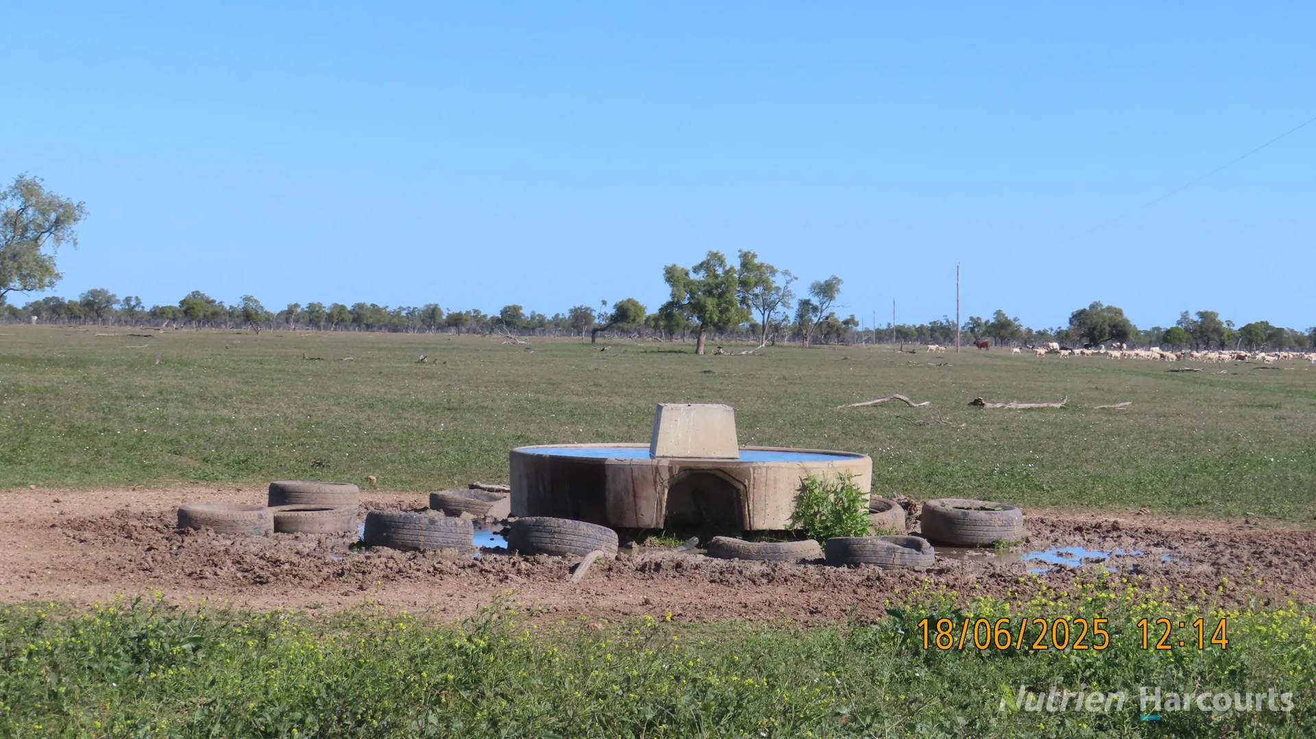 Additional image 6 of * Springvale, Walgett NSW 2832