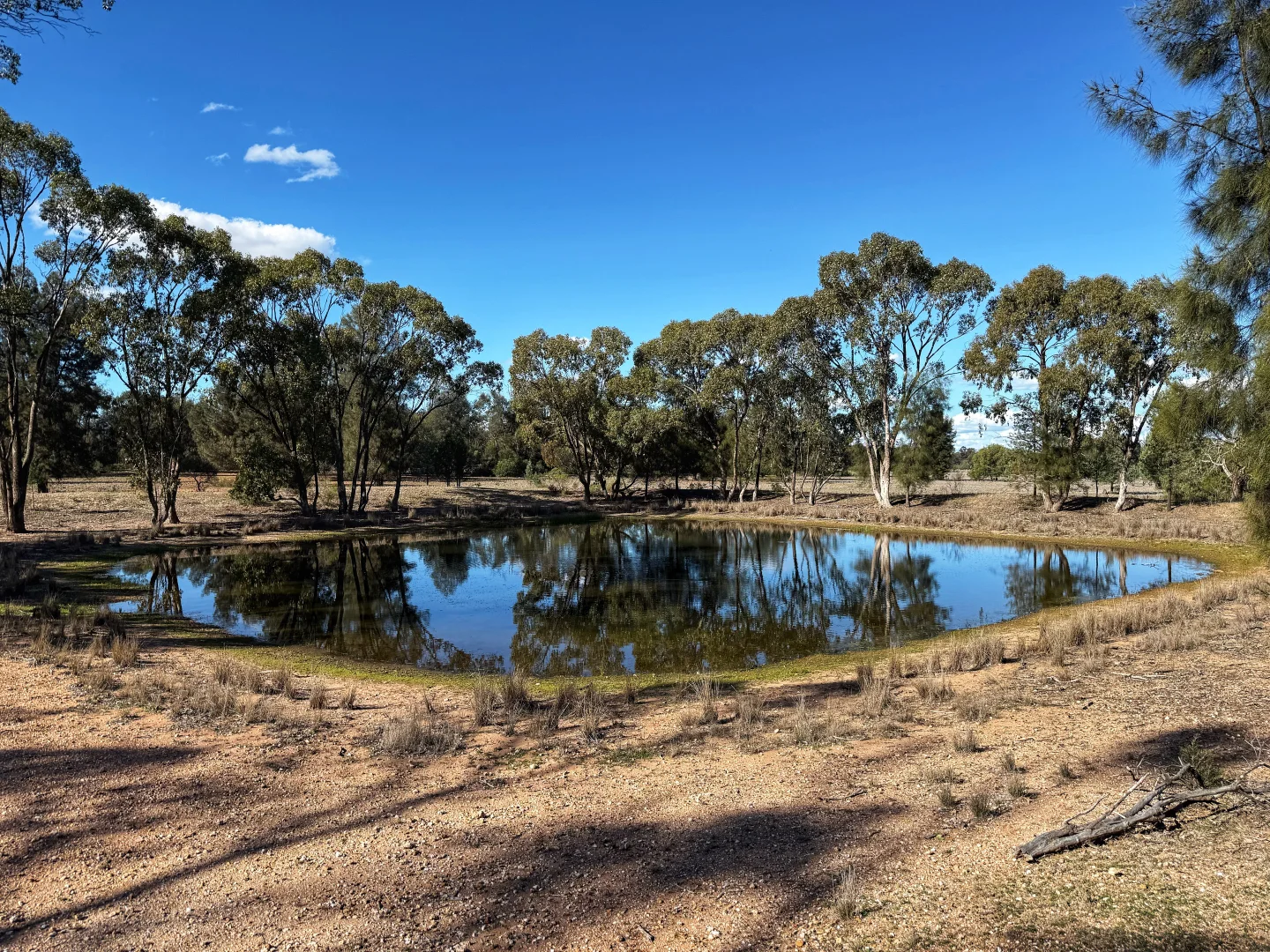 Additional image 4 of 4546 The Bogan Way, Tottenham NSW 2873