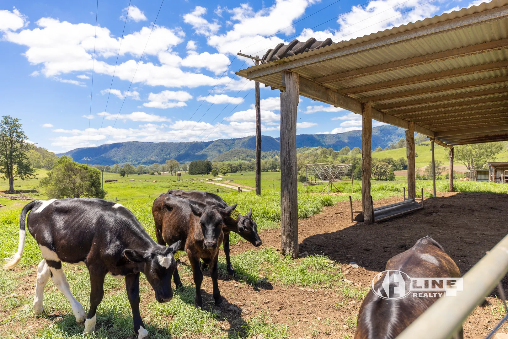 Additional image 13 of 27 Scrubby Creek Road, Conondale QLD 4552