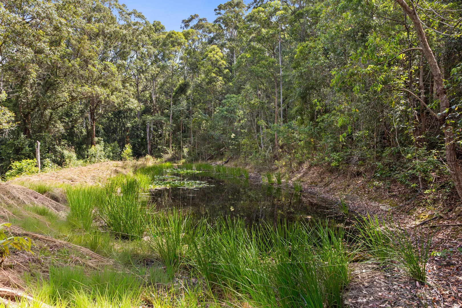 Additional image 11 of 654 Ourimbah Creek Road, Palm Grove NSW 2258