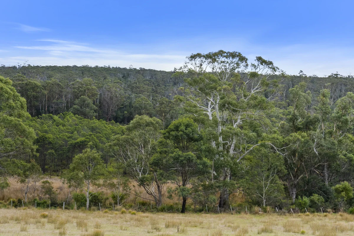Additional image 33 of 1 & 2 Bresnehans Road, Little Swanport TAS 7190